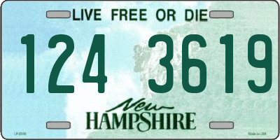 NH license plate 1243619
