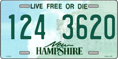 NH license plate 1243620