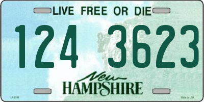 NH license plate 1243623