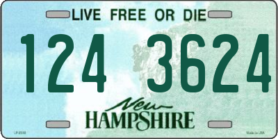 NH license plate 1243624