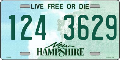 NH license plate 1243629