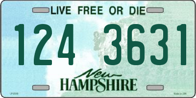 NH license plate 1243631