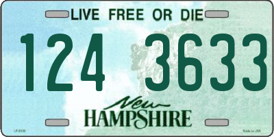 NH license plate 1243633