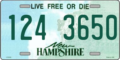 NH license plate 1243650