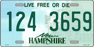 NH license plate 1243659