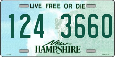 NH license plate 1243660