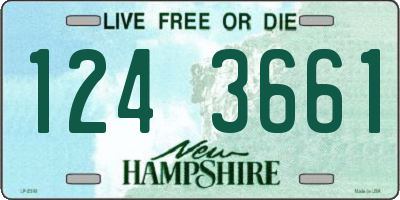 NH license plate 1243661