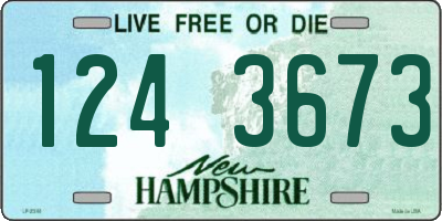 NH license plate 1243673
