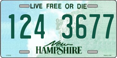 NH license plate 1243677