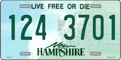 NH license plate 1243701