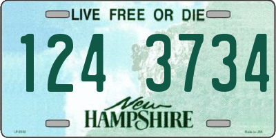 NH license plate 1243734