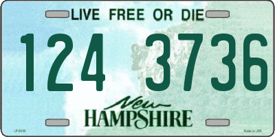 NH license plate 1243736