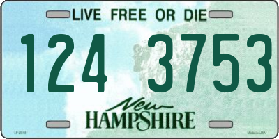 NH license plate 1243753