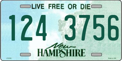 NH license plate 1243756