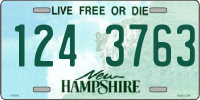 NH license plate 1243763