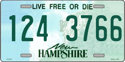 NH license plate 1243766