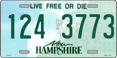 NH license plate 1243773