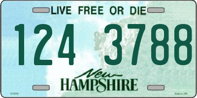 NH license plate 1243788