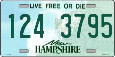 NH license plate 1243795