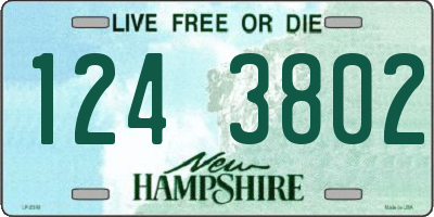 NH license plate 1243802
