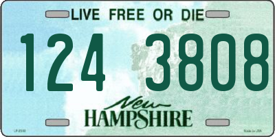 NH license plate 1243808