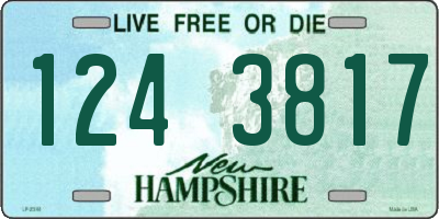 NH license plate 1243817