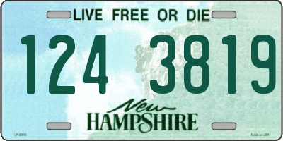 NH license plate 1243819