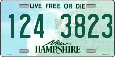 NH license plate 1243823