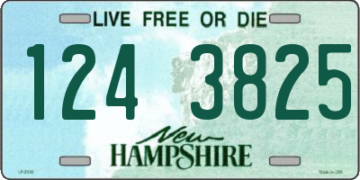 NH license plate 1243825
