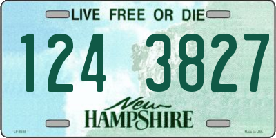 NH license plate 1243827
