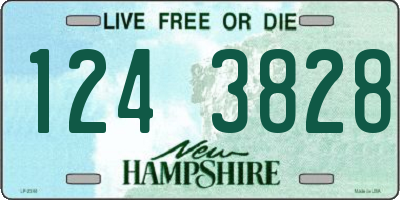 NH license plate 1243828