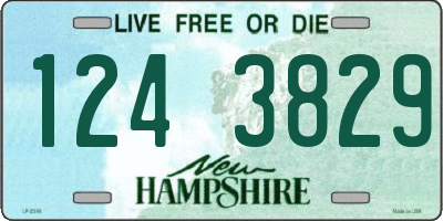 NH license plate 1243829