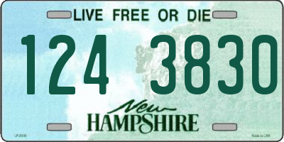 NH license plate 1243830