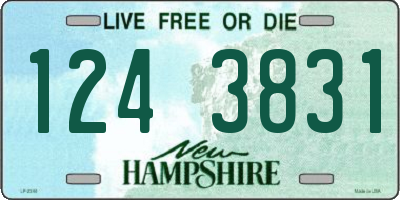 NH license plate 1243831