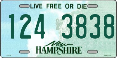 NH license plate 1243838
