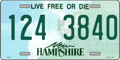 NH license plate 1243840