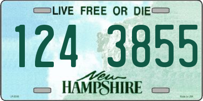 NH license plate 1243855