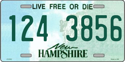 NH license plate 1243856