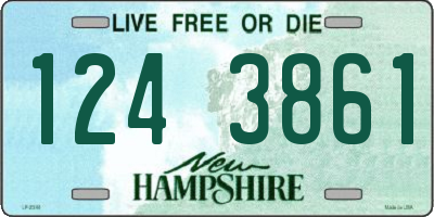 NH license plate 1243861