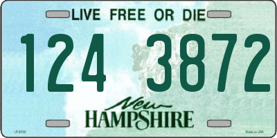 NH license plate 1243872
