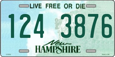 NH license plate 1243876