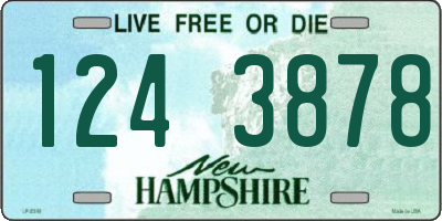 NH license plate 1243878