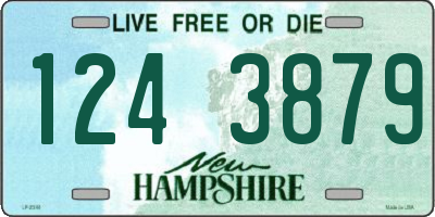 NH license plate 1243879