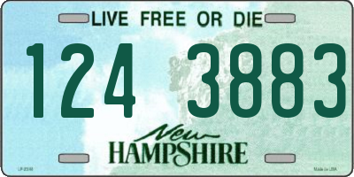 NH license plate 1243883