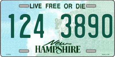 NH license plate 1243890
