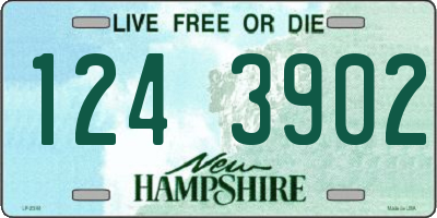 NH license plate 1243902