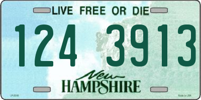 NH license plate 1243913