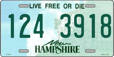NH license plate 1243918