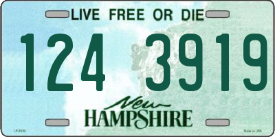 NH license plate 1243919