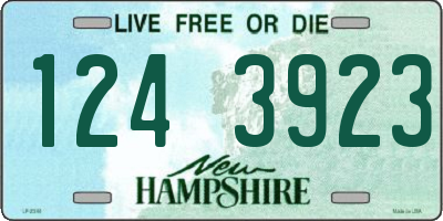 NH license plate 1243923
